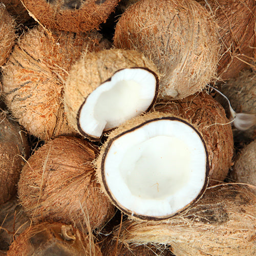 Coconut Oil