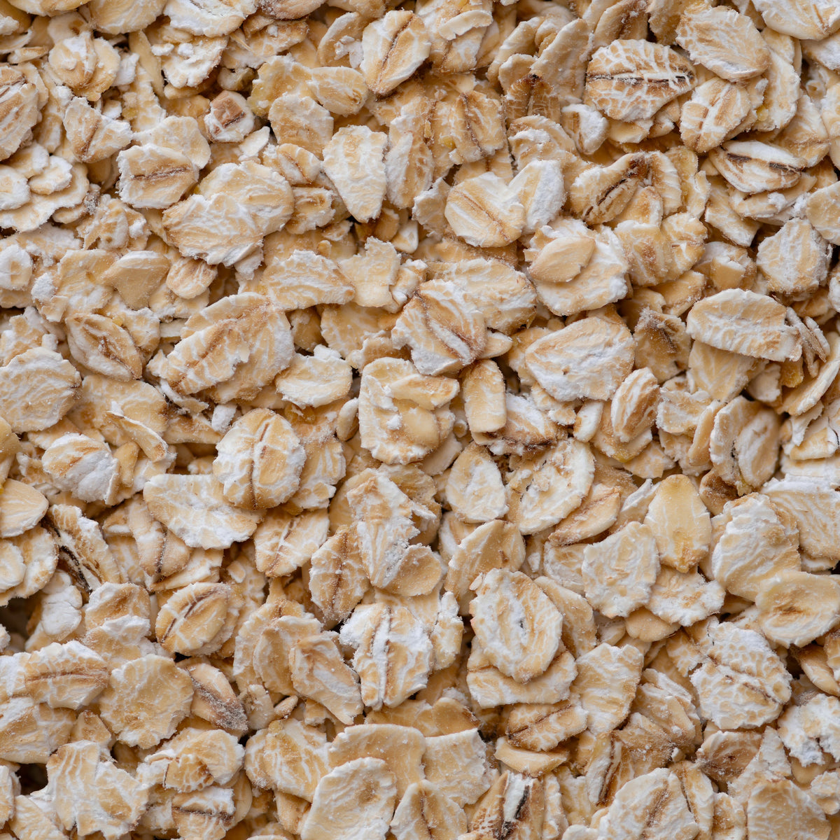 Oat Lipid