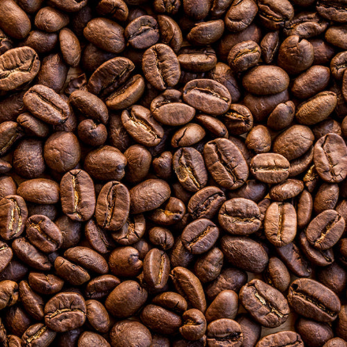 Coffee Seed Image