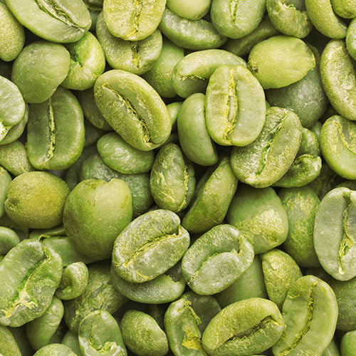 Green Coffee Image