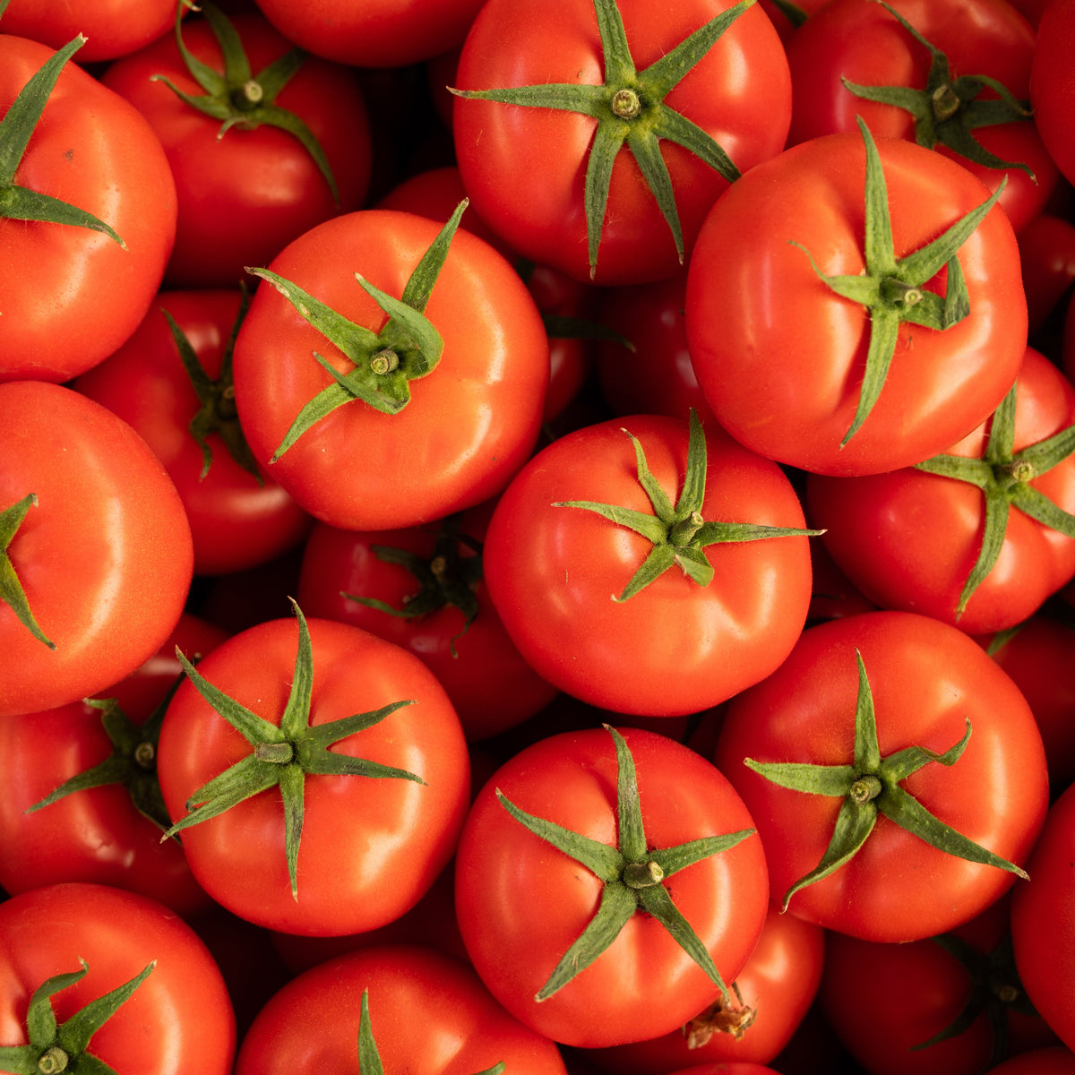 Lycopene Ingredient Image