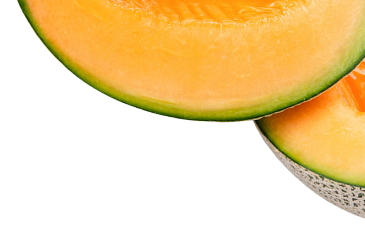 Melon Slices Image