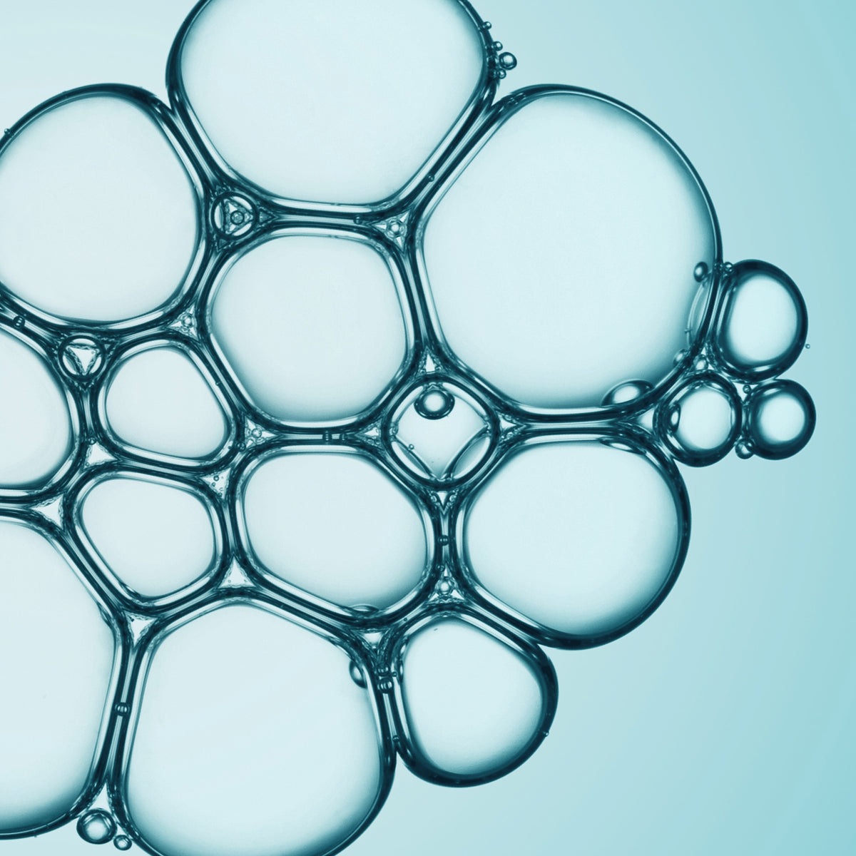 Nicotinamide Adenine Dinucleotide Ingredient Image