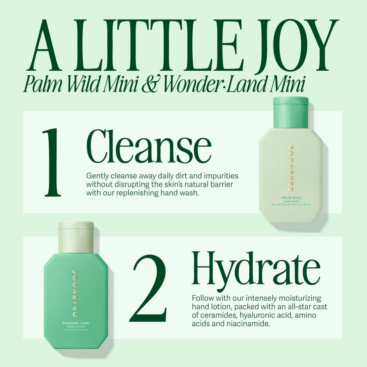 Palm Wild Hand wash and Wonderland Hand lotion Mini Set How To